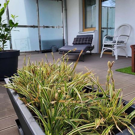 Miodowy Dom Exspanse Apartament 2 Lub 3 Pokoje Z Tarasem I Parkingiem Kołobrzeg Esterno foto