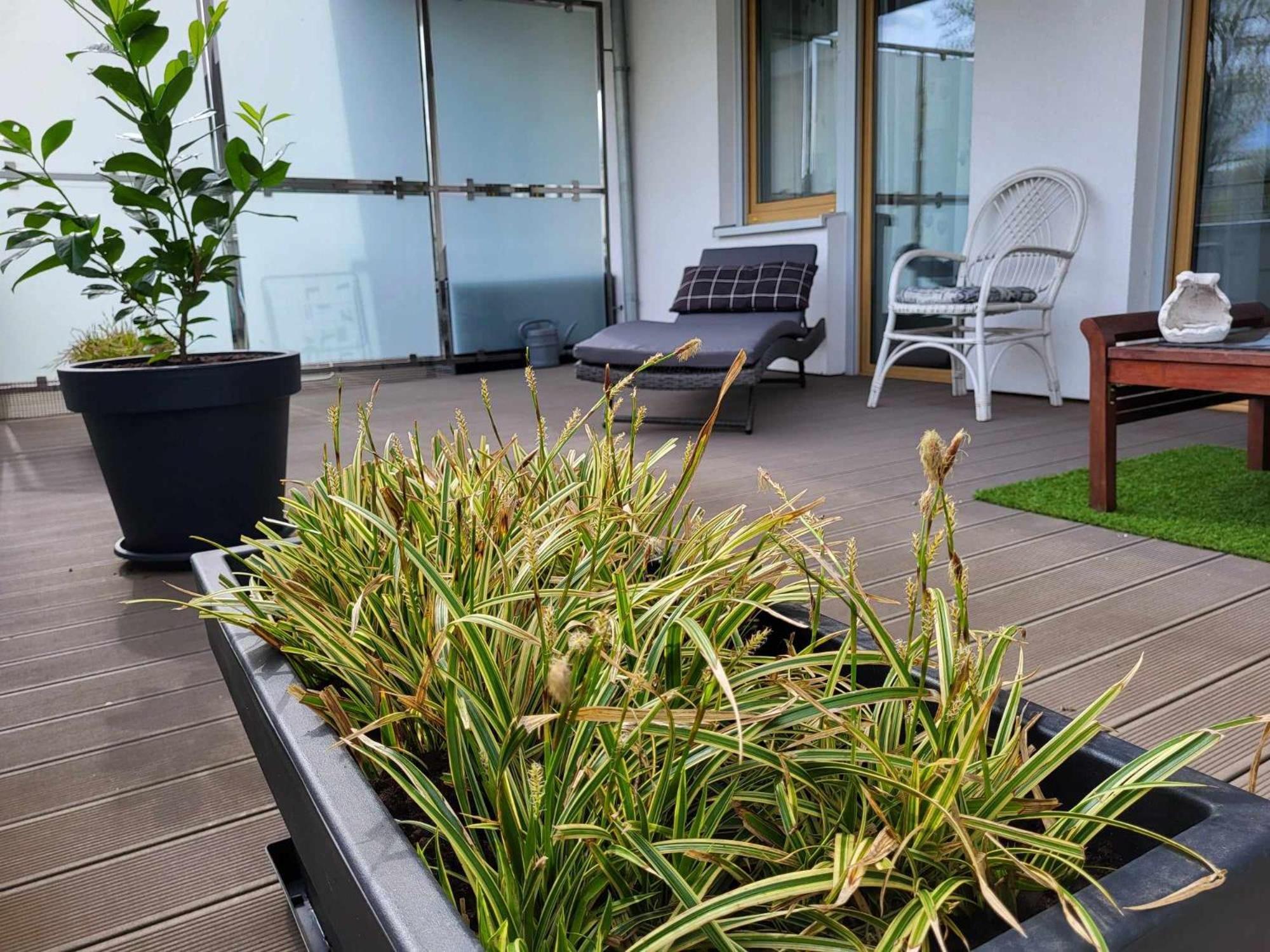 Miodowy Dom Exspanse Apartament 2 Lub 3 Pokoje Z Tarasem I Parkingiem Kołobrzeg Esterno foto